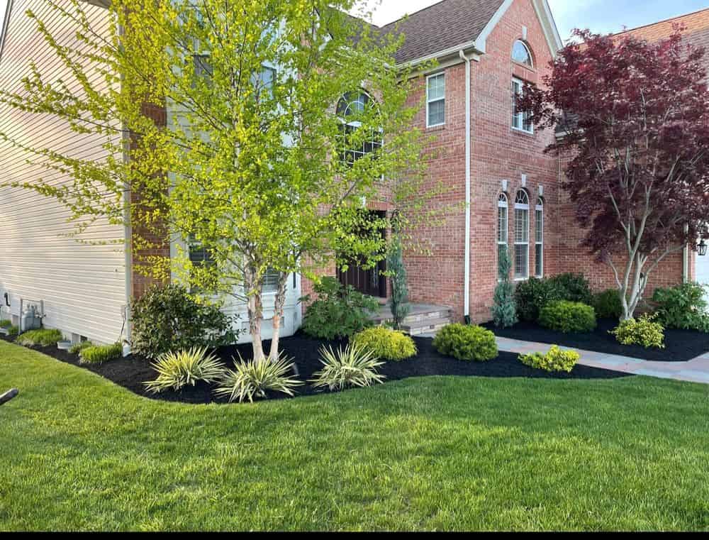 Fertilization Services image