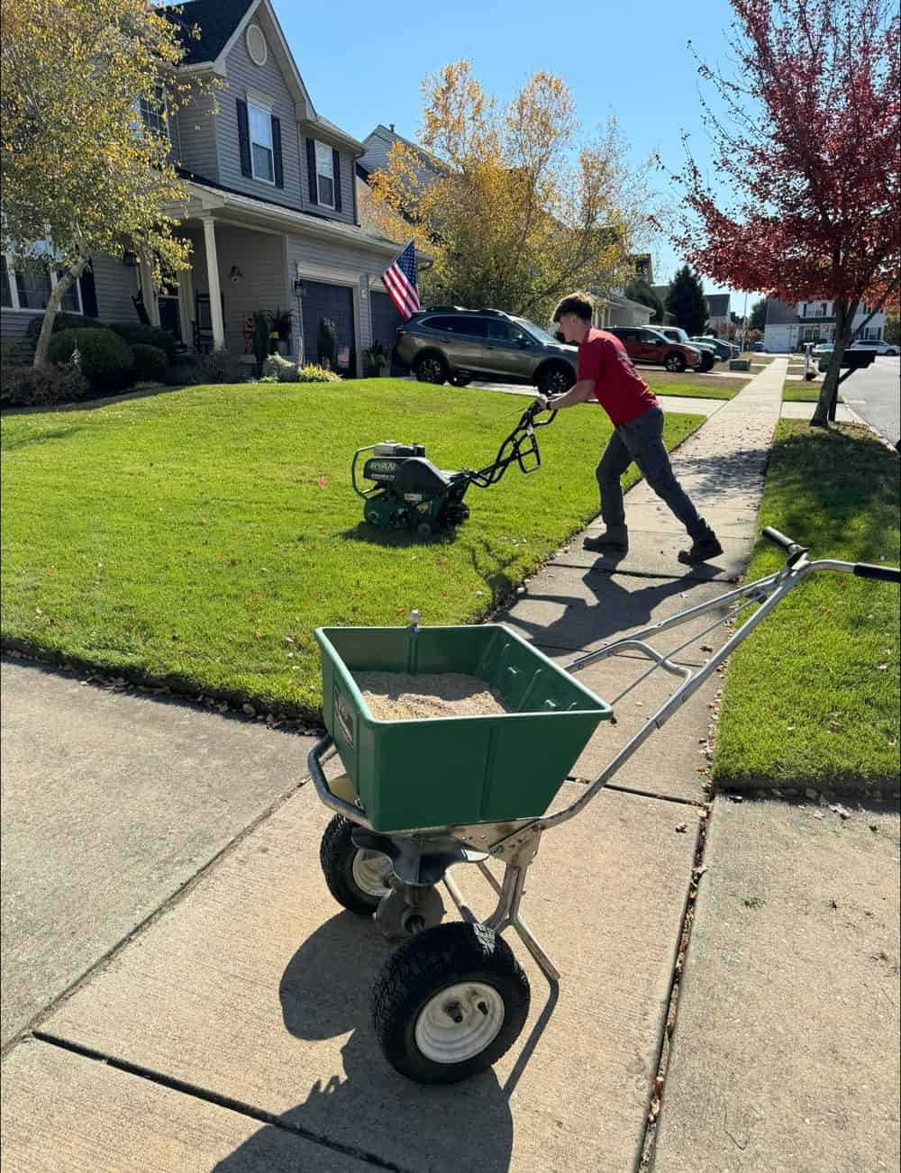 Lawn Maintenance image