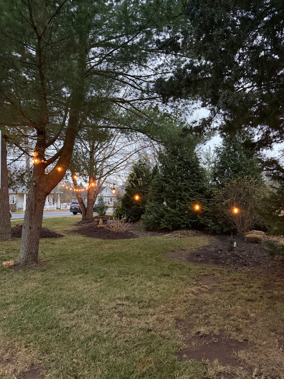 Twinkling string lights draped across trees in a serene outdoor setting at dusk.