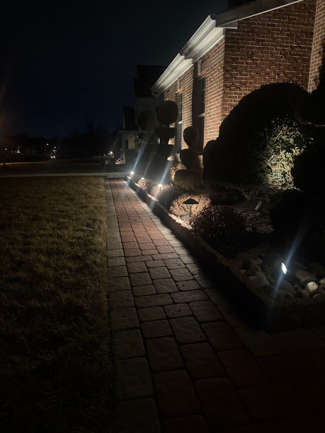 Elegant landscape lighting illuminating a brick walkway and manicured shrubs at night.