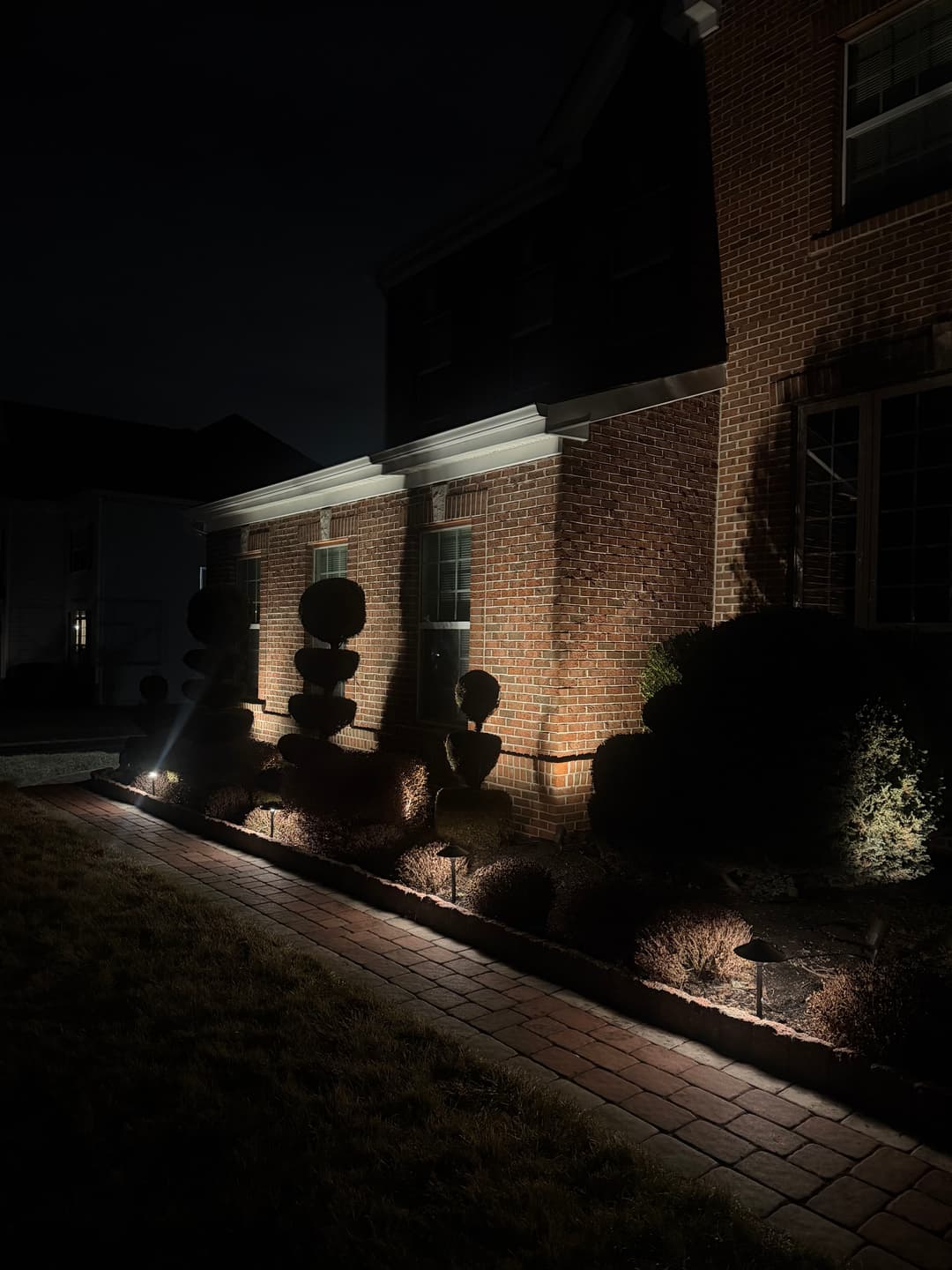 Illuminated topiary plants in front of a brick house at night, creating dramatic shadows.
