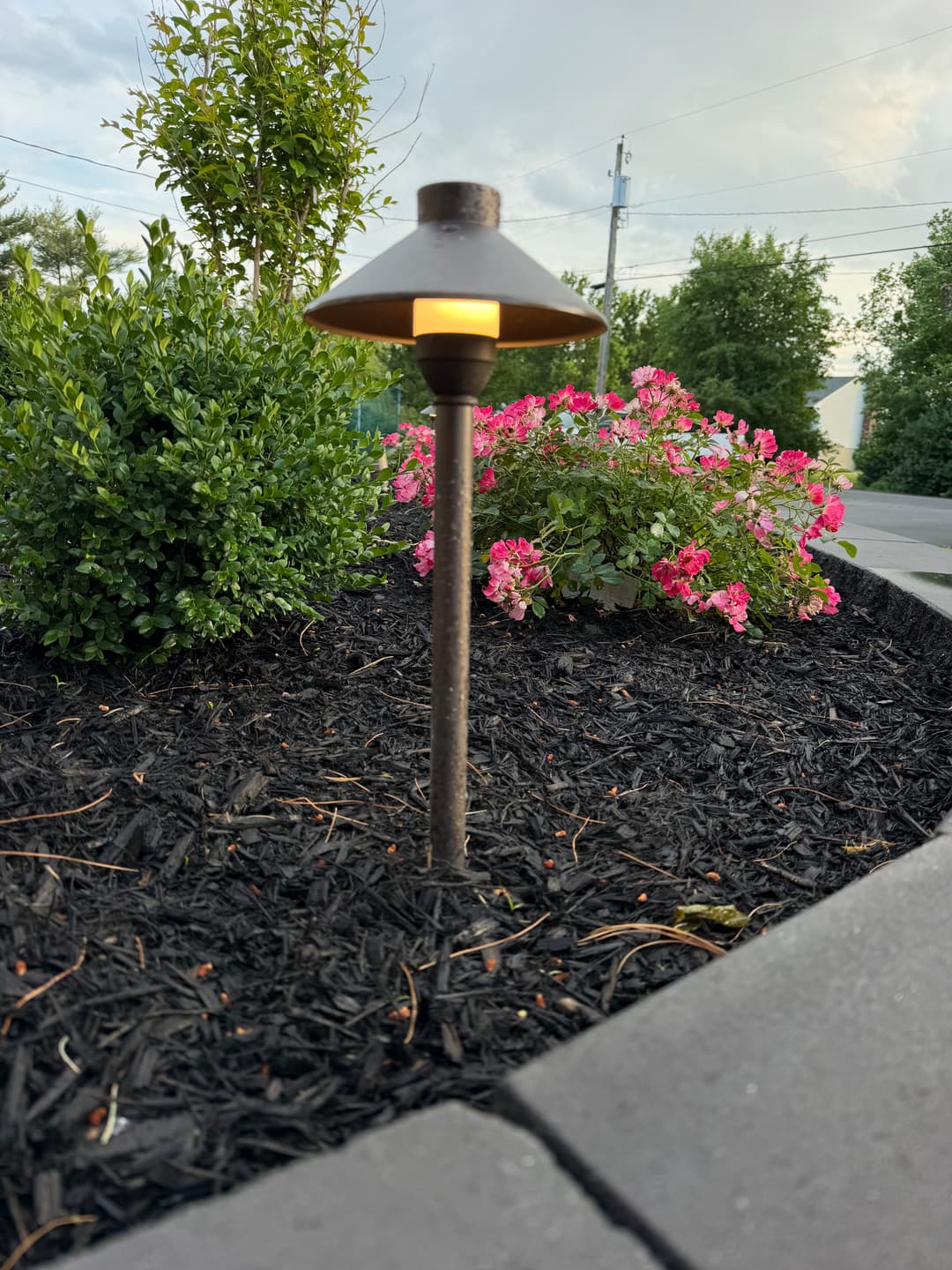 LED garden light surrounded by flowers and greenery in a landscaped yard.