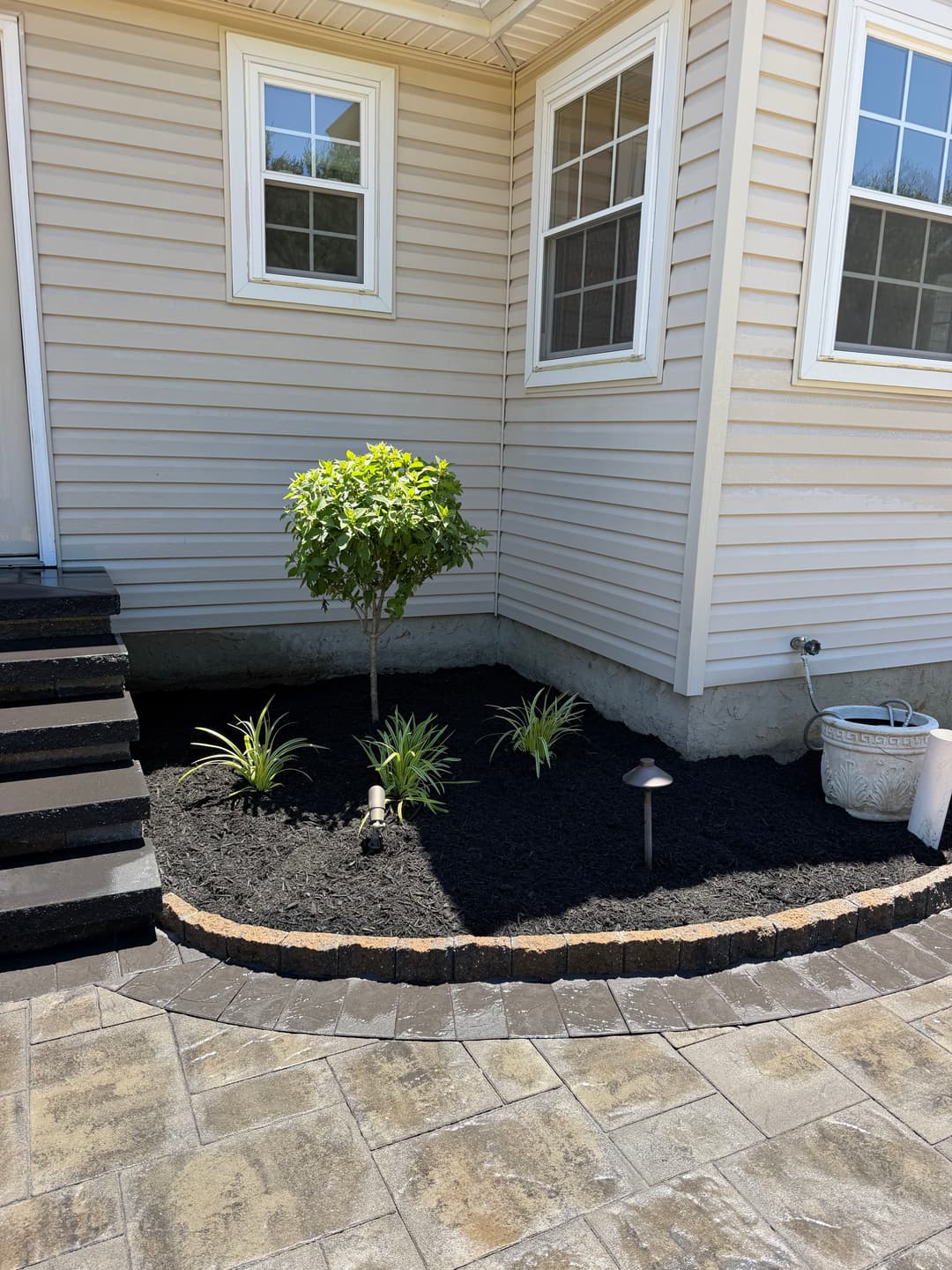 Corner garden area with a small tree, decorative plants, and modern stone pathway.