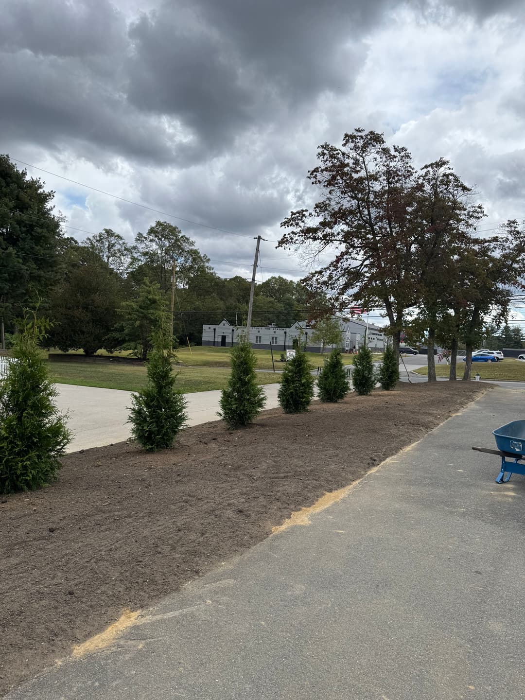 Landscape with newly planted evergreen trees along a walkway, under cloudy skies.