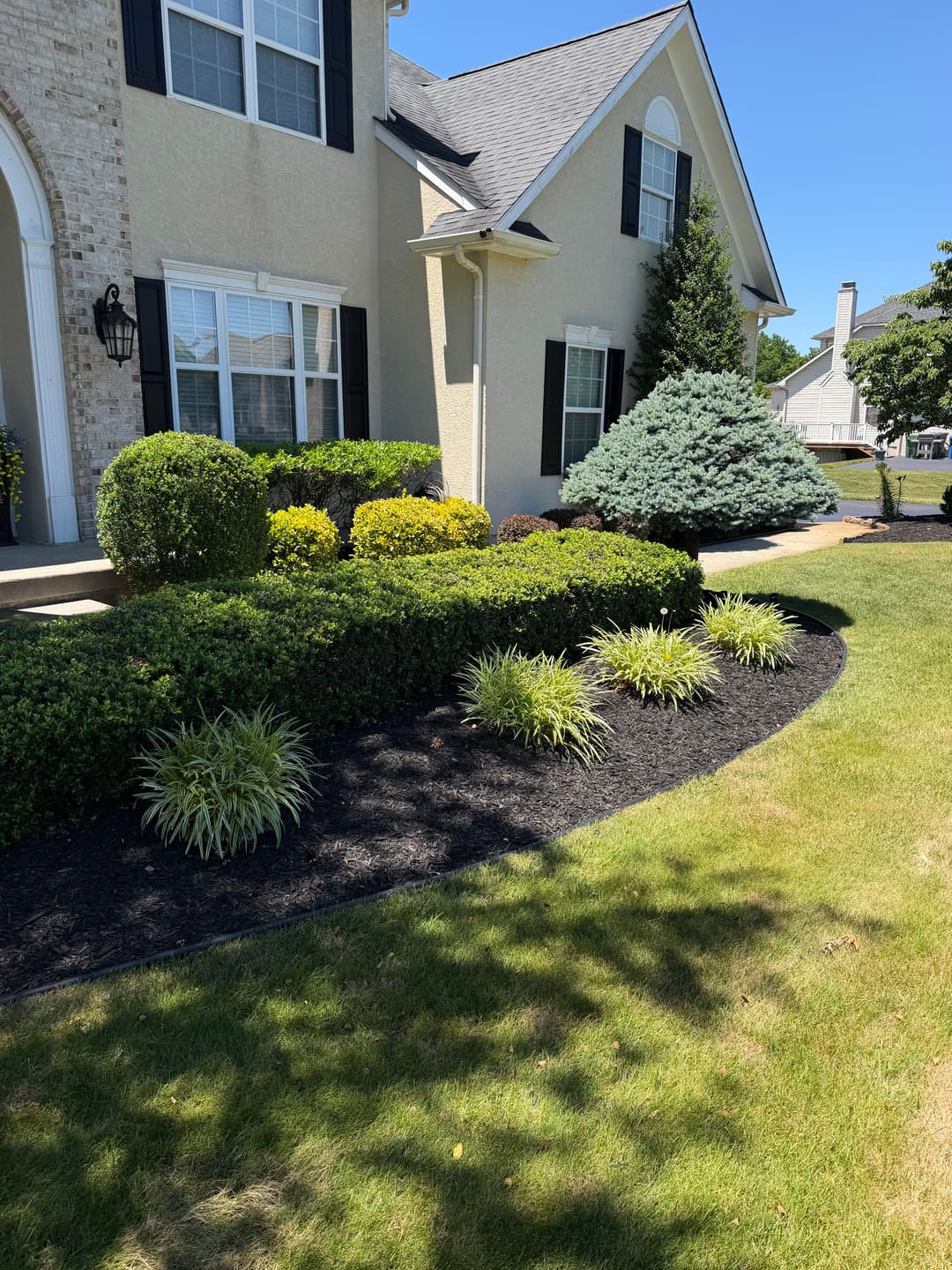 Lush landscaped front yard with well-trimmed shrubs and decorative plants near a house.