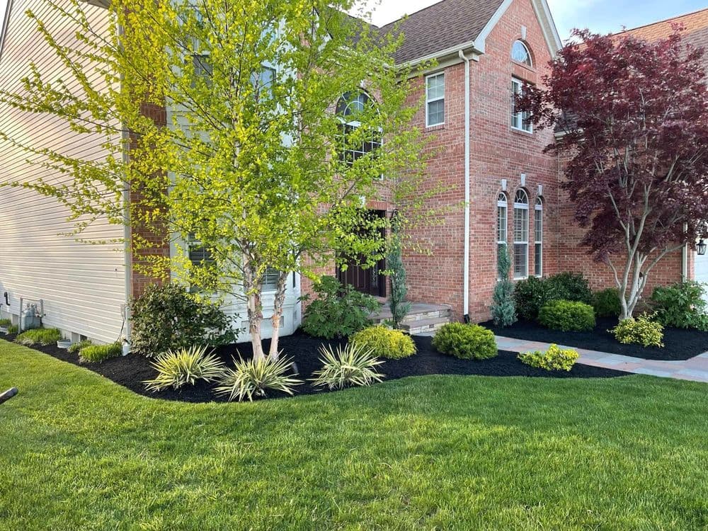Lush front yard landscape with brick house, green trees, and vibrant shrubs.