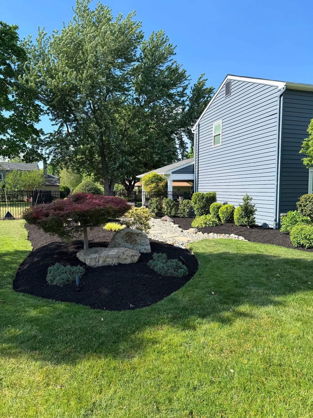 Lush landscaped yard with shrubs, rocks, and a decorative Japanese maple tree beside a blue house.