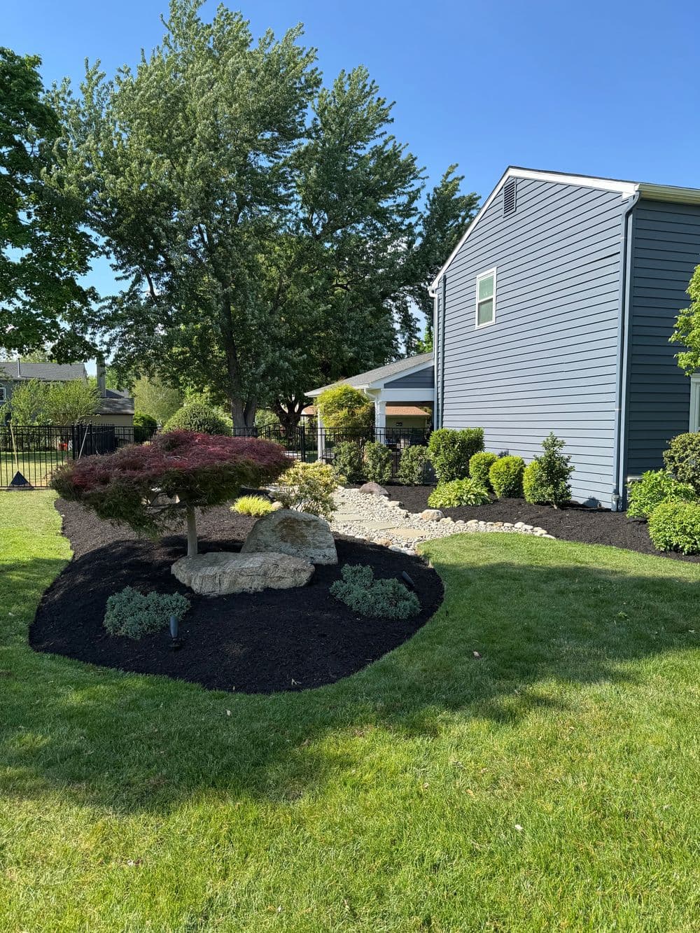 Lush landscaped yard with a Japanese maple tree, rocks, and decorative shrubs beside a blue house.
