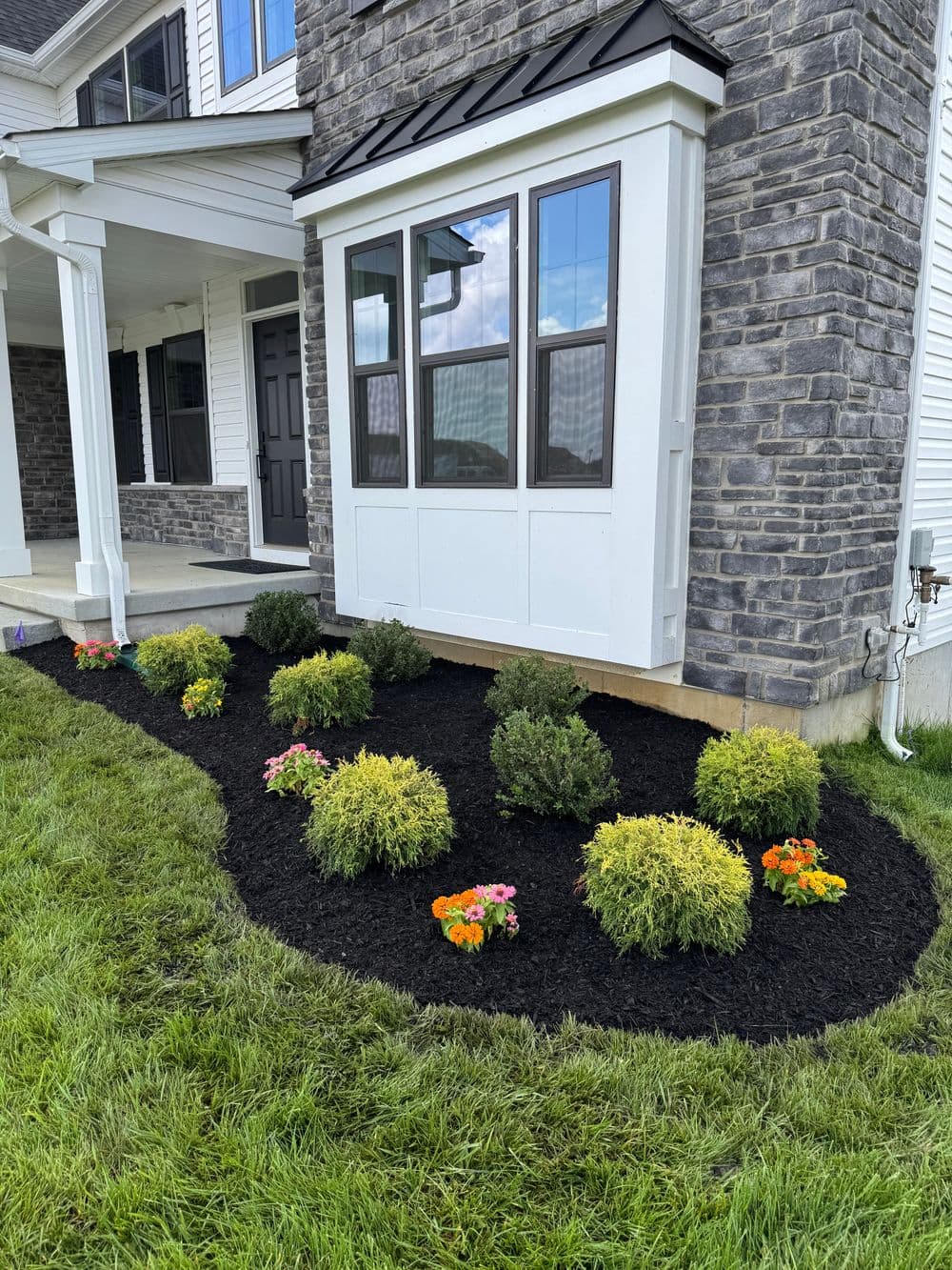 Colorful flower beds with rounded shrubs and black mulch near a modern house entrance.
