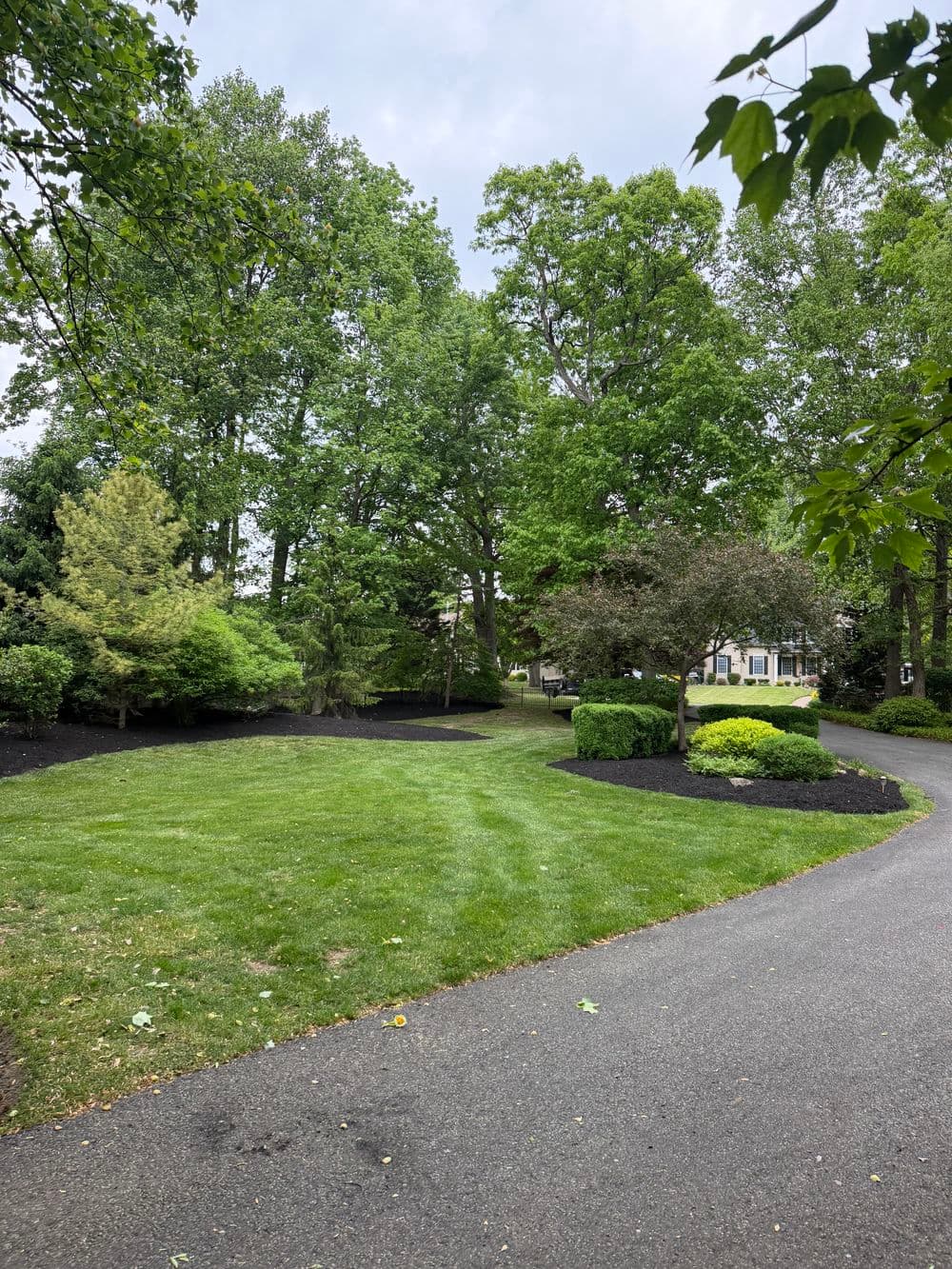 Lush green landscape with trees and manicured shrubs along a winding driveway.